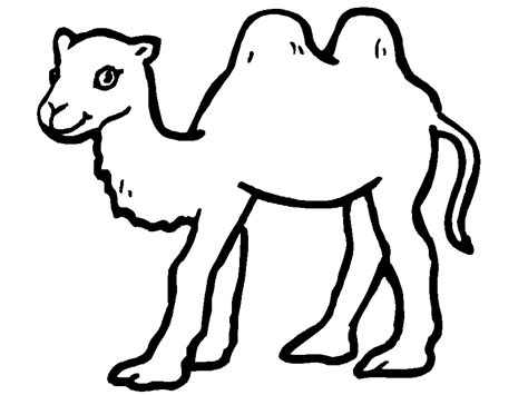 Camello Para Colorear Imagui