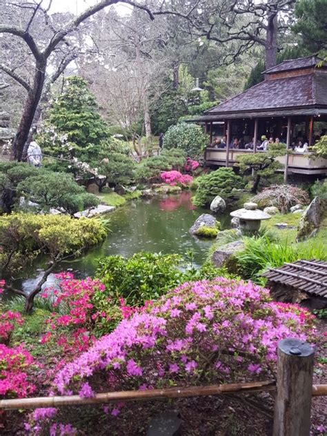 Japanese Tea Garden In San Francisco Home Garden Design Backyard