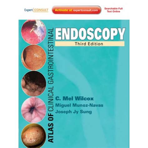 Atlas Of Clinical Gastrointestinal Endoscopy 3rd Edition 2012 Mehul
