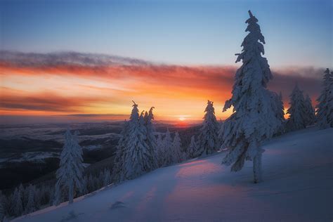 Nature Landscape Winter Snow Trees Sunset Clouds Hills Forest
