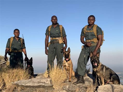 A Specialised K9 Unit In Action Conservation Lower Zambezi