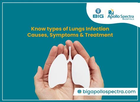Lung Infection Types Causes Symptoms And Treatments