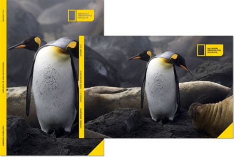 National Geographic Rebrand by Justin Marimon, via Behance | Rebranding, National geographic ...