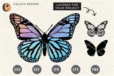 Layered Butterfly SVG Cut File (905779) | Cut Files | Design Bundles