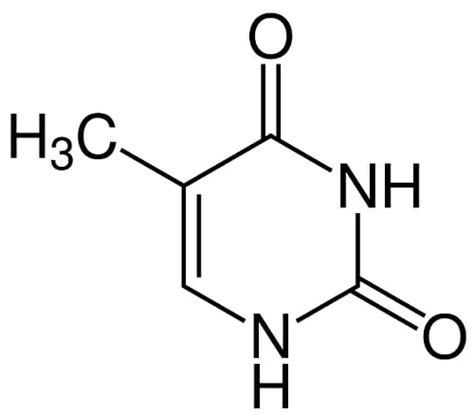 Thymine Molecule