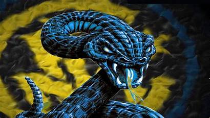 Snake Cool Wallpapers Snakes Cobra 1080 Background