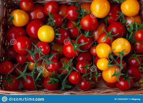 Red And Yellow Cherry Tomatoes Top View Harvest Vegetables Tomato On