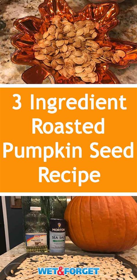 Ask Wet And Forget Pumpkin Seeds How To Make Falls