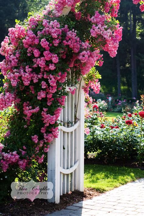 42 Colorful Art Style Garden Gate Ideas That You Should Try For Your Garden