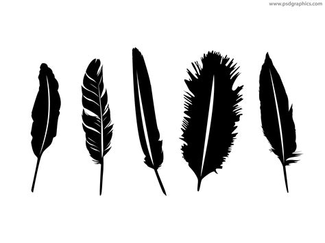 Feather Silhouette Vector At Getdrawings Free Download
