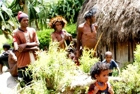 history of culture traditional and cultural of dani tribe