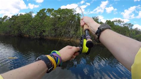Florida Canals Exotic Slam Fly Fishing Youtube