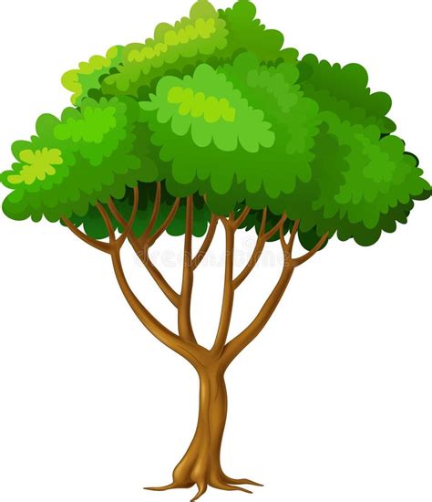 Cool Tree Cartoon Stock Vector Illustration Of Happy 154132981