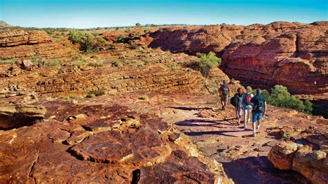 Kings Canyon And Outback Panoramas Australian Day Tours