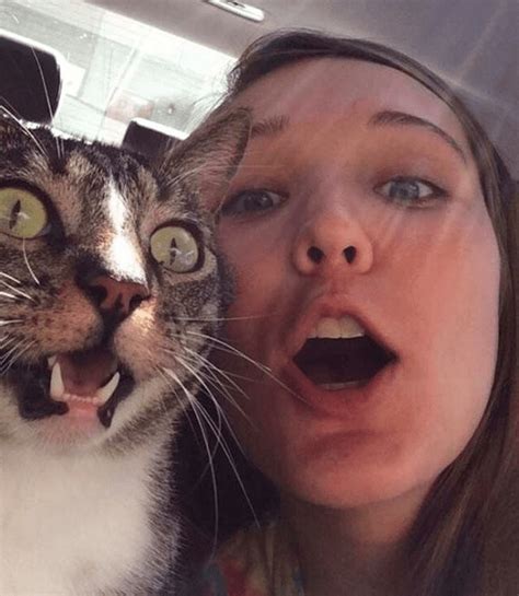 Hilarious Selfies That Went Extremely Wrong