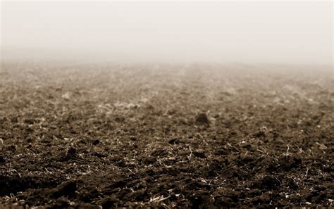 Soil Earth Dirt A Farmers Field ~ Matthew G Beall Vision Driven
