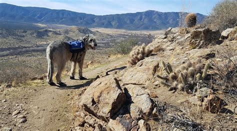 Armchair Hiker San Diego Pacific Crest Trail Pct San Diego And Beyond