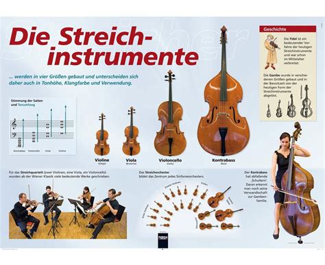 Familie Der Streichinstrumente Arbeitsblatt Mark Clifford Schule