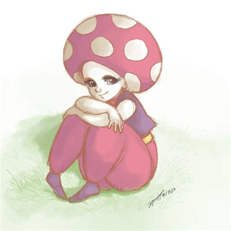 Toad Peach Hime Kyushutsu Dai Sakusen By Taralen On Deviantart