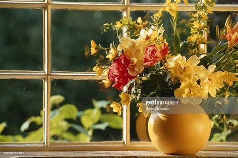Flower Vase On Window Sill High Res Stock Photo Getty Images