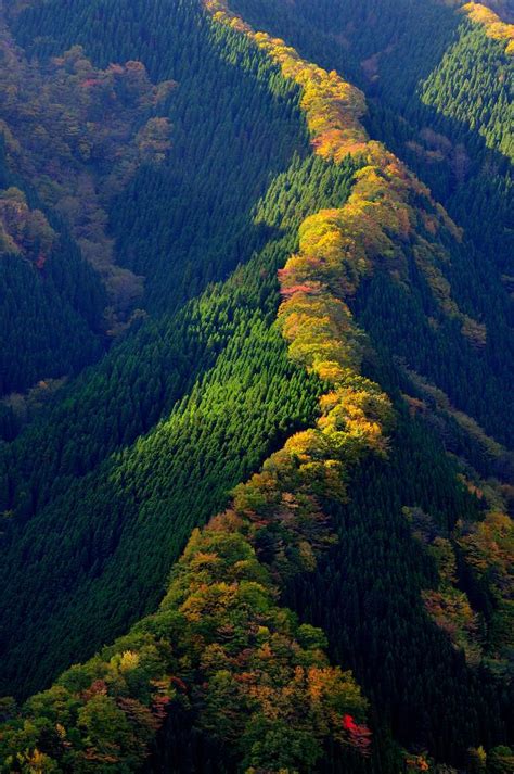 Namego Valley Tenkawa Mountain Japan Photo On Sunsurfer