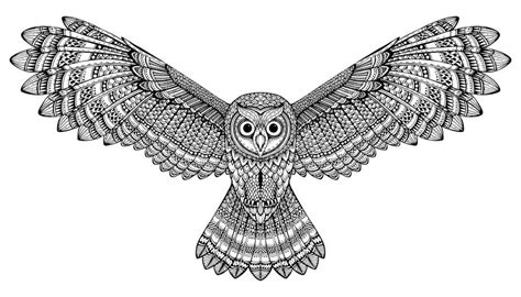 Ein mandala mit fünf verschiedenen tieren. Eule Mandalas Tiere - Mandala with owl stock vector ...