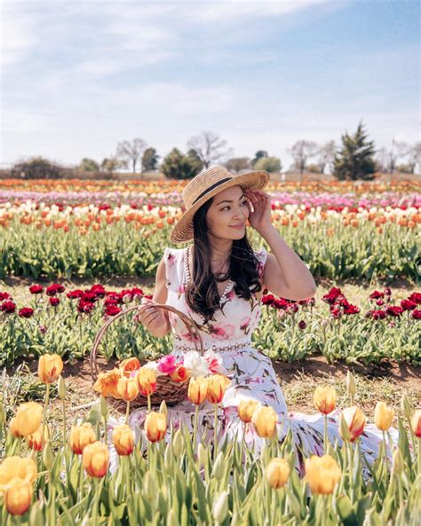 Texas Tulips Lets You Pick Your Own Bouquet At This Farm Near Dallas