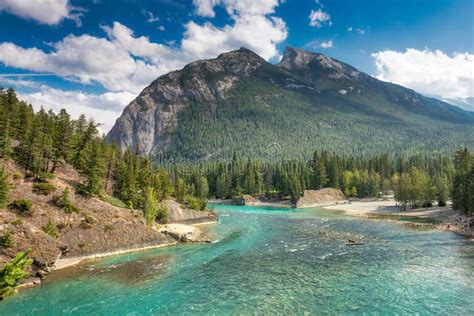 Bow River Banff Canadian Rockies Stock Photo Image Of Forested