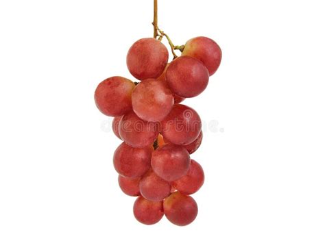 Bunch Of Red Grapes Isolated On White Stock Photo Image Of Food