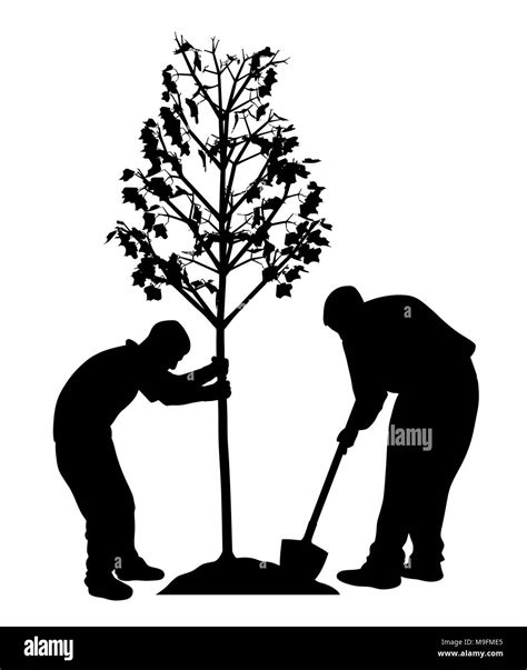 Two Men Planting A Tree Stock Vector Image And Art Alamy