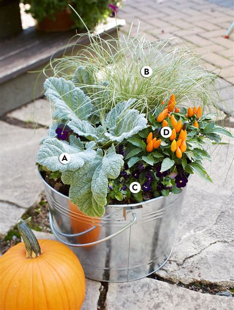 Plant This Autumn Inspired Container That You Can Enjoy Until Winter