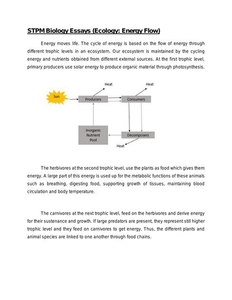 Stpm Biology Essays Ecology Energy Flow Biology Stpm Thinkswap