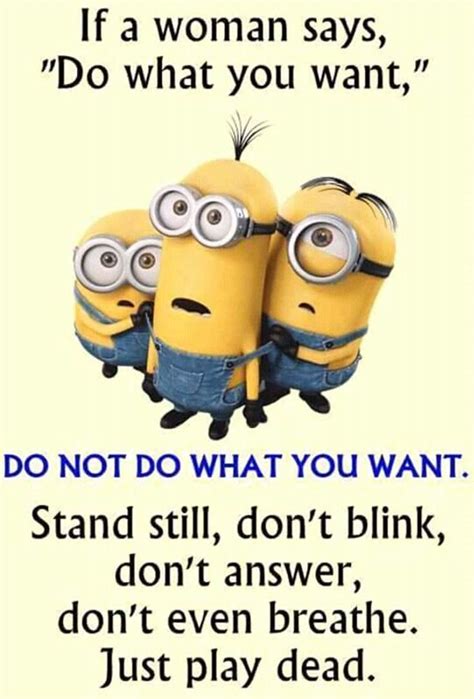 40 funny minions quotes with images slicontrol