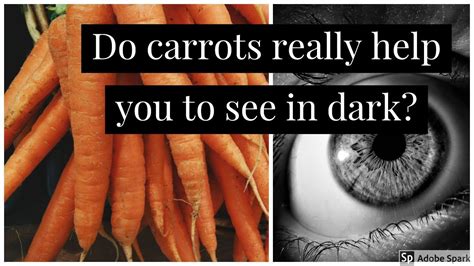Do Carrots Really Help You To See In Dark தமிழ் Samy22 Youtube