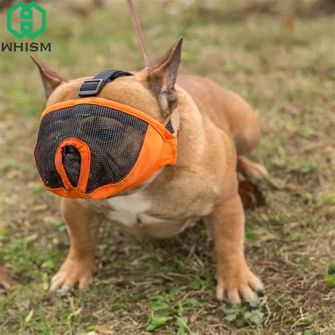 Buy Whism Dog Muzzle For Short Snout Dogs Breathable