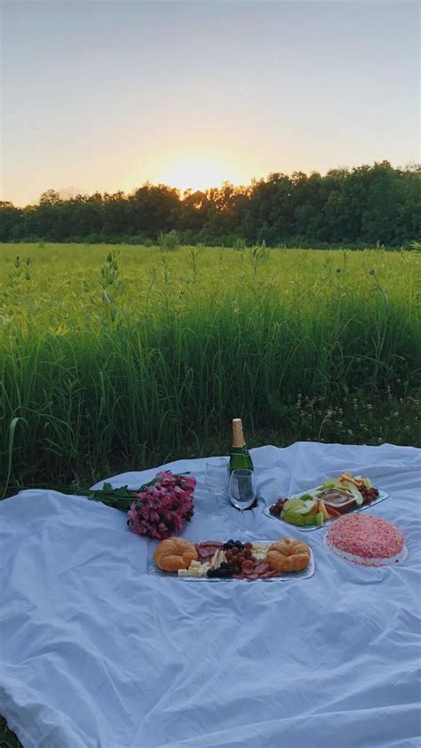 Aesthetic Picnic At Sunset Dream Dates Picnic Date Summer Picnic