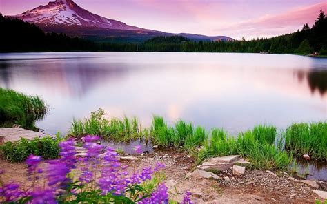 Beautiful Fariy Mountain Lake Scene Ipad Air Wallpapers Free Download