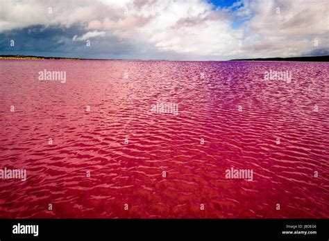 Pink Lake Of Hutt Lagoon Western Australia Stock Photo Alamy