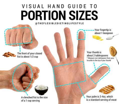 Visual Hand Guide To Portion Sizes Portion Sizes Portion Size Guide