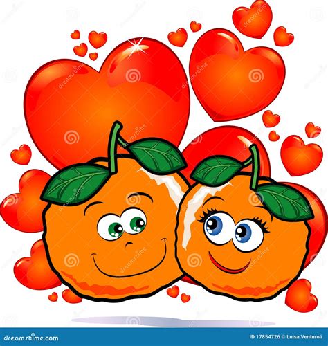 Oranges in love stock illustration. Illustration of boyfriends - 17854726