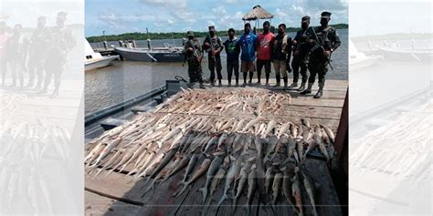 Detienen A Cuatro Hombres Por Pesca Ilegal En Gracias A Dios Diario