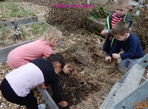 Hydroponic gardening is a way to grow plants without soil. Preparing Gardens for Spring-Without Tilling