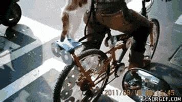 Cat Bike By Cheezburger Find Share On Giphy