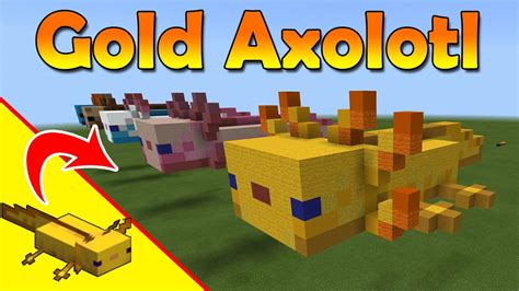 Minecraft Golden Axolotl Gold Axolotl Statue Minecraft Mob Build