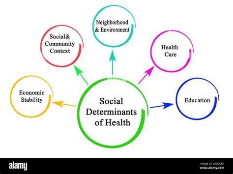 Chart Showing The Social Determinants Of Health Source Download Scientific Diagram