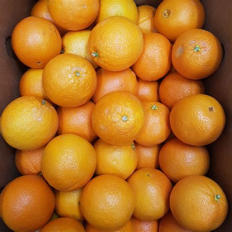 Naval Oranges California Prairie Foods