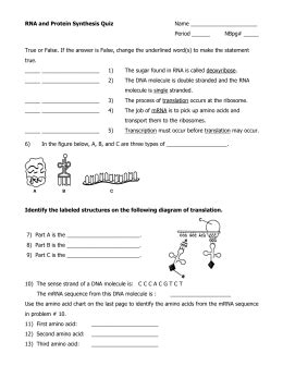 Gizmo answer key building dna.pdf free pdf download now!!! RNA and Protein Synthesis Quiz | Biology | Pinterest