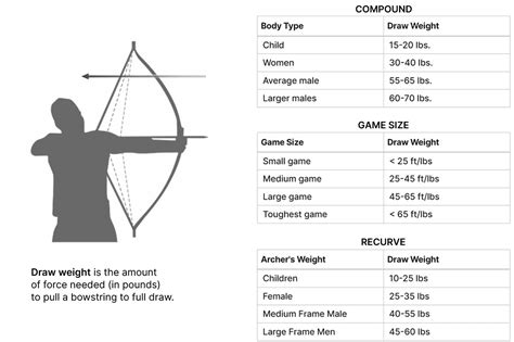 Compound And Recurve Bow Draw Weight Charts Sportsmans Warehouse