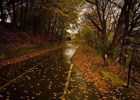 Autumn Rainy Day Wallpapers Wallpaper Cave