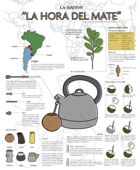 Imágenes E Infografías Del Mate Bebida Nacional Argentina Imágenes